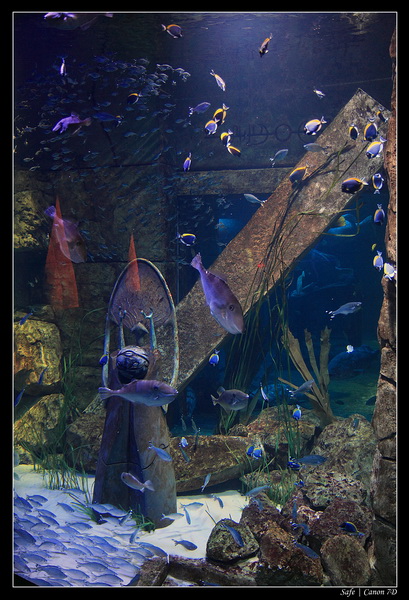 2012 - 06 - Dubai - 015